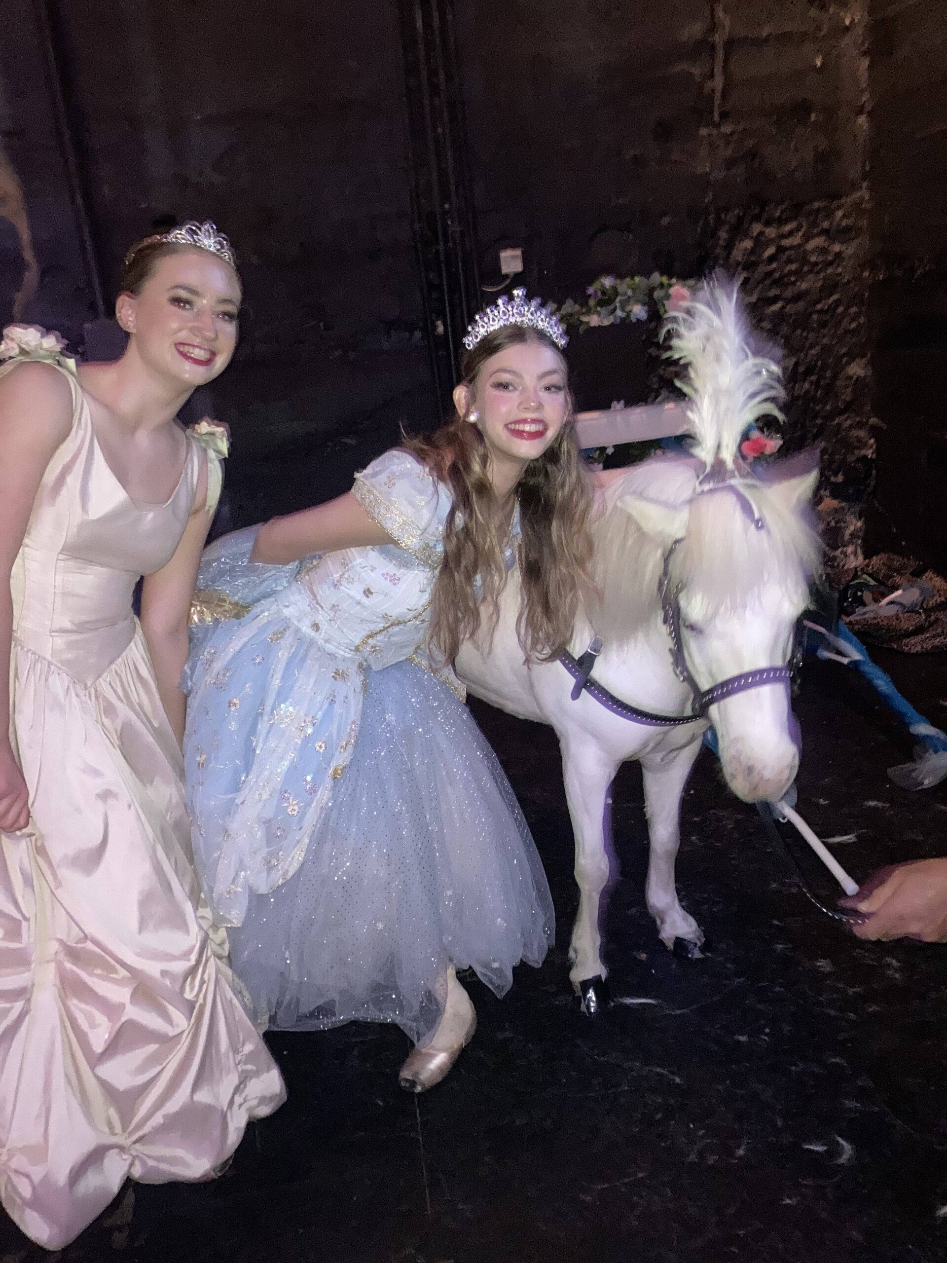princesses pony min scaled